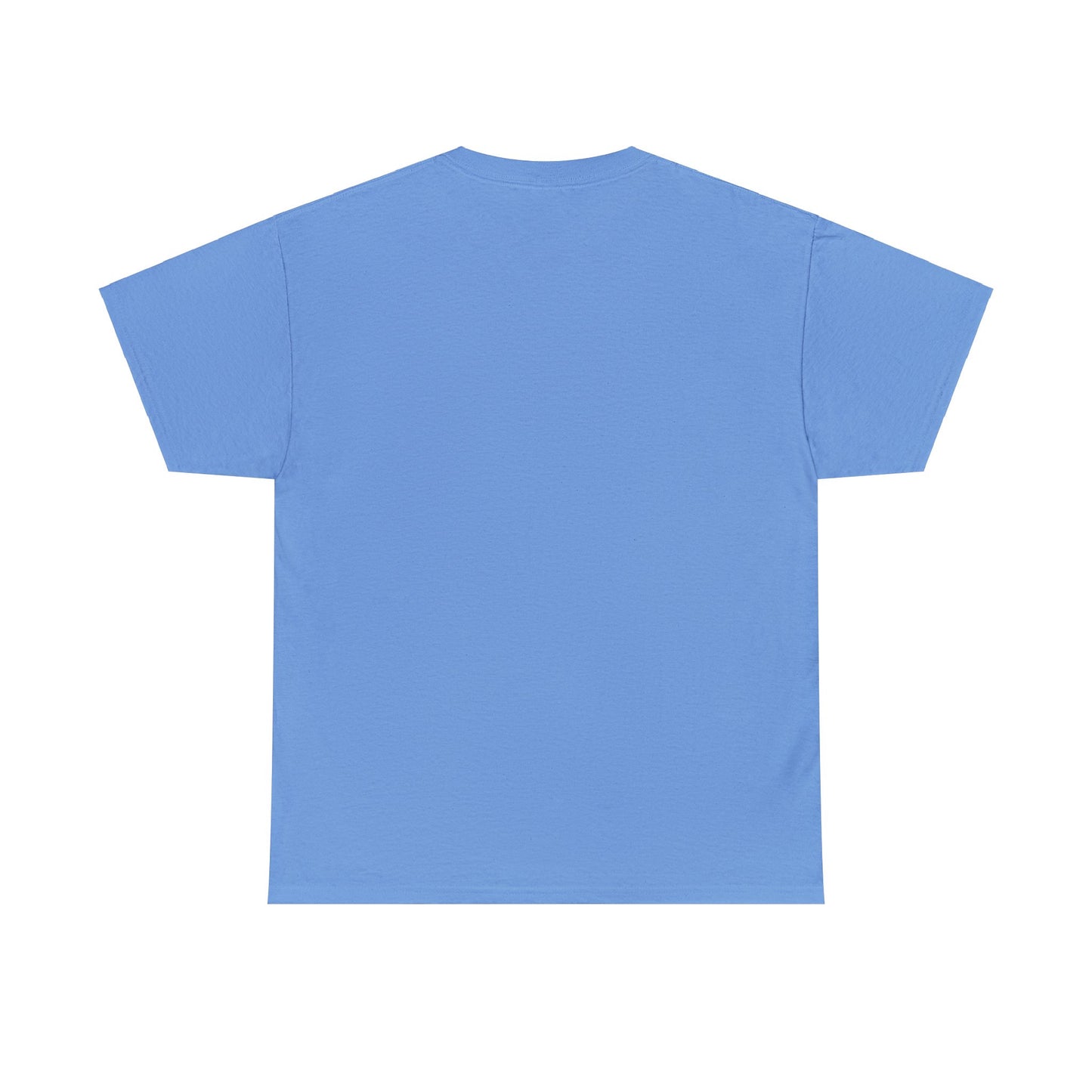 Protection Unisex Heavy Cotton Tee